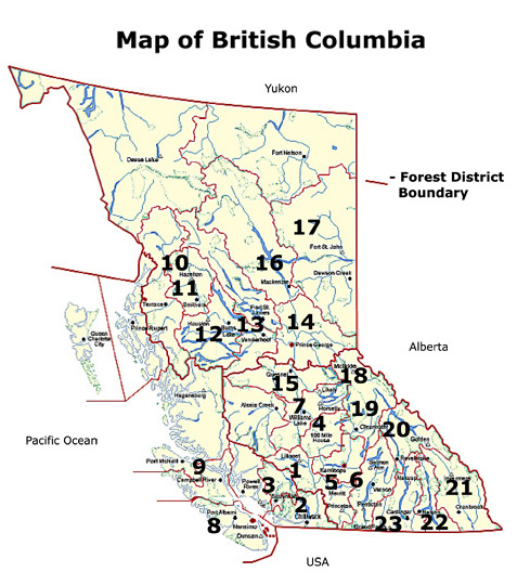 associations-map