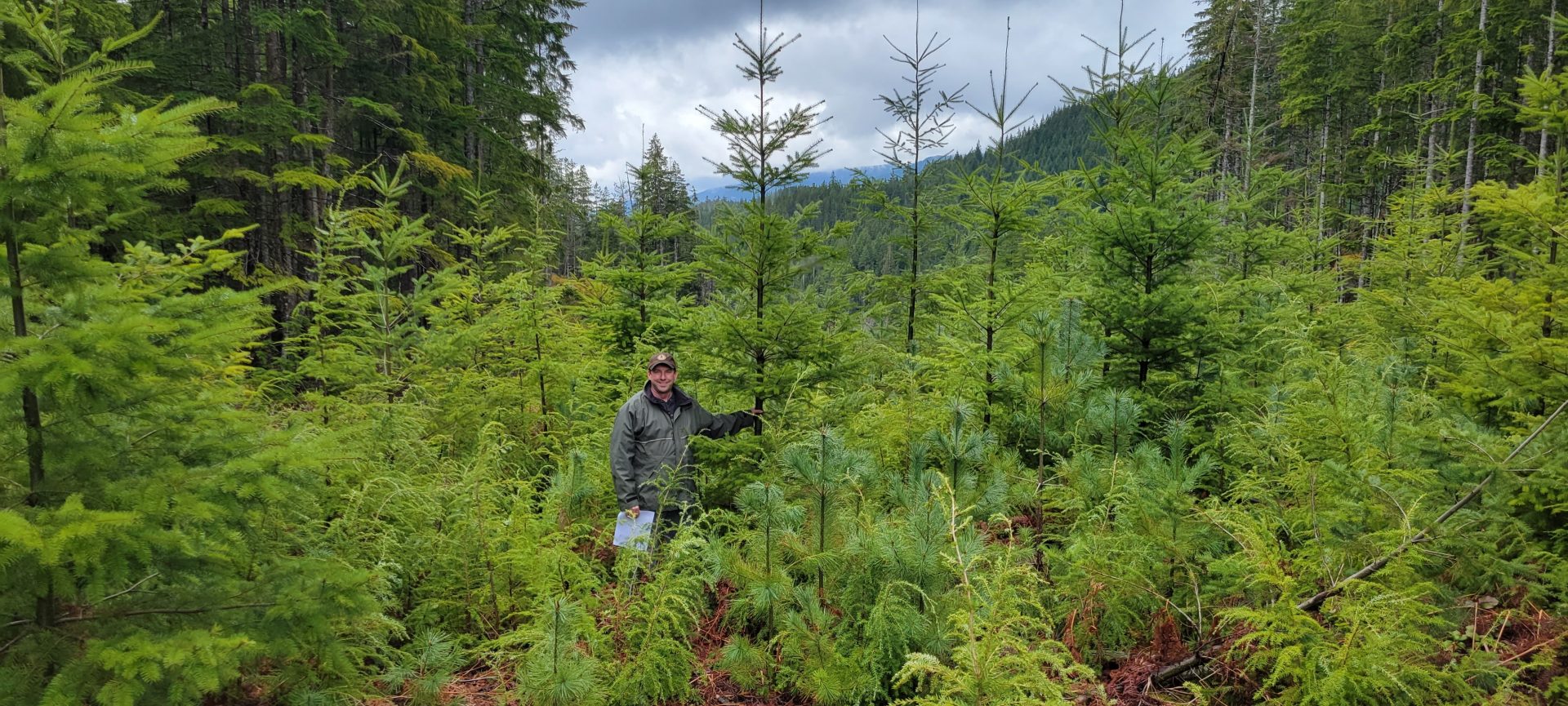 GM Gord Chipman stands in regrowth of coastal tree species